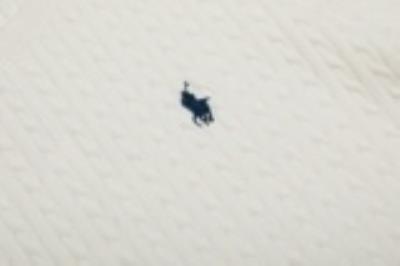 wholesale quality men ralph lauren polo shirts model no. 2797